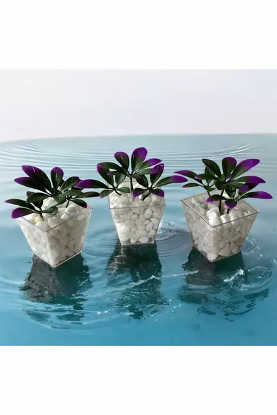 Специален дизайн DIY комплект от 3 кубични саксии с декоративни камъни, лилаво-зелени евкалиптови растения