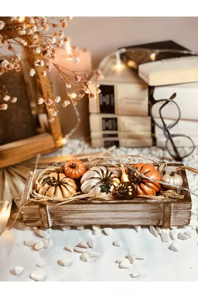 Set de décoration de citrouille avec caisse en béton et plantes séchées inclus