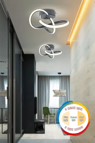 София Модерен Плафонер Опушен 3 Цвята Светлинен Режим За Таван Нова Всекидневна Кухня Хол LED Полилей