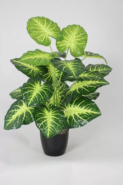 Изкуствено дърво Дифербаха В зеленожълто с черен саксия с листа, см