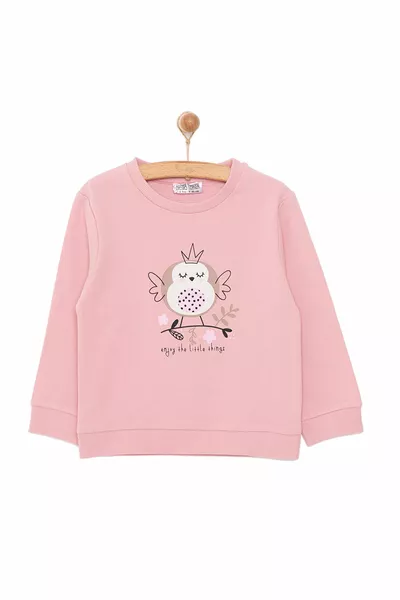 Sweatshirt pour bébé fille HelloBaby, col rond, manches longues, molletonné, couleur poudre