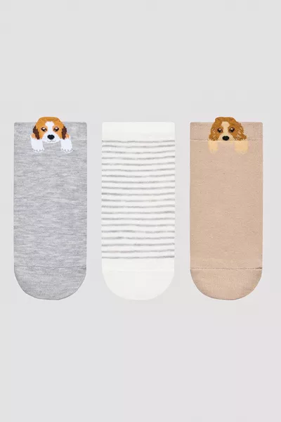 جوارب كلب بالتفصيل بيج 3 قطع