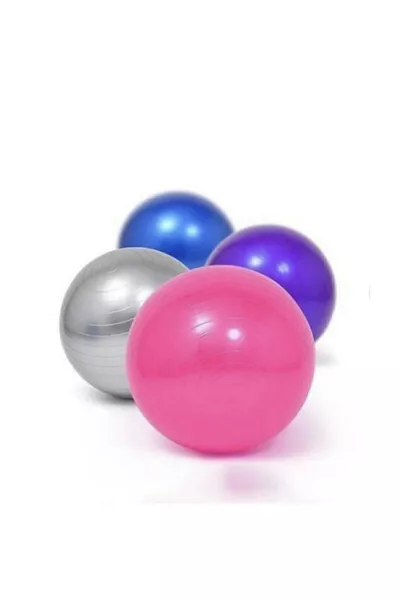 Deluxe Purple Pilates Ball Gym Yoga Exercise Ball Purple