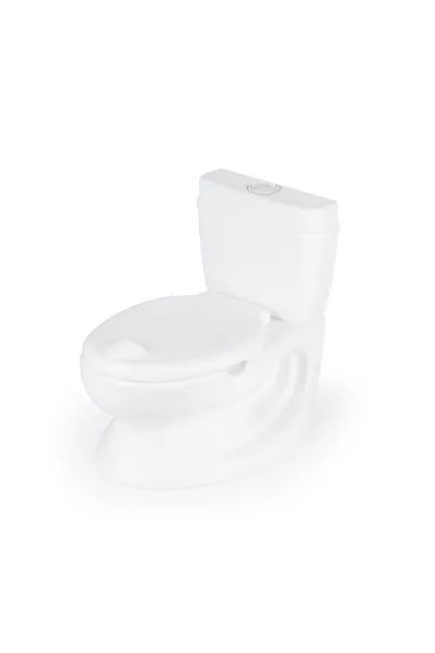 Training Potty