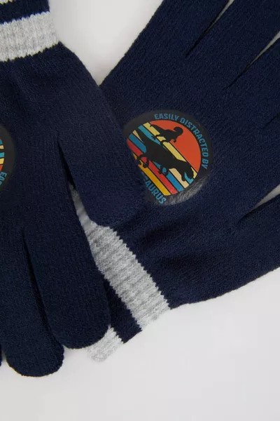 Boys' Dinosaur Print and Color Block Knit Gloves WN