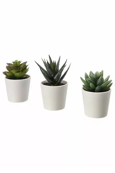 3 Artificial Plant Cacti 6 Cm Set of 3 Flower Green Cactus
