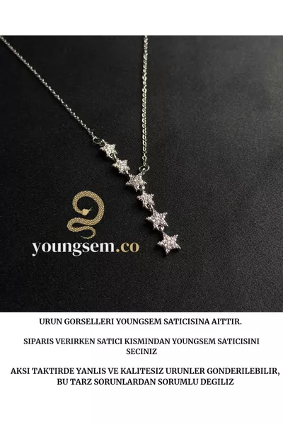 Silver Rhodium Necklace with Shooting Star and Shiny Zircon Stones