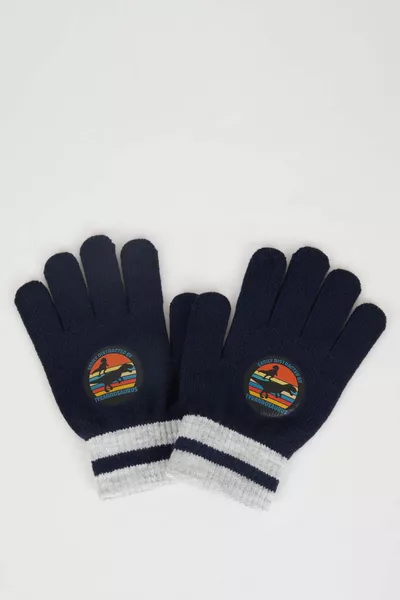 Boys' Dinosaur Print and Color Block Knit Gloves WN