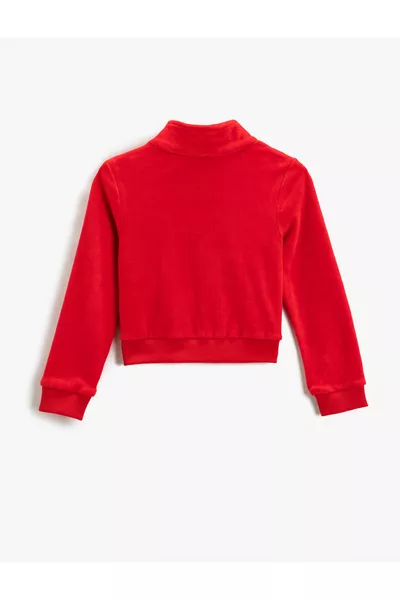 Zip-Up Stand Collar Fleece Cardigan with Long Sleeves and Butterfly Embroidery Detail