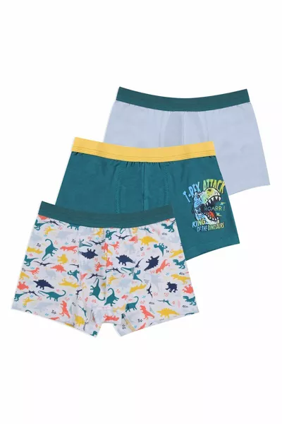 Boys' 3-Pack Dinosaur Print Boxer Shorts