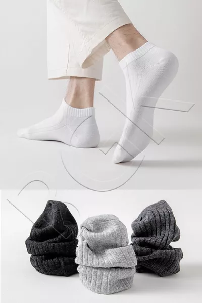 Unisex 5 paia di calzini colorati estivi