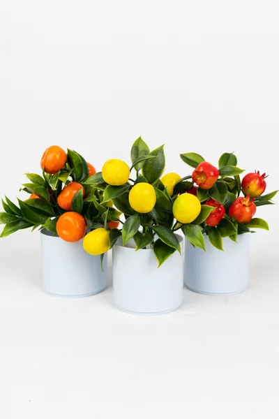 Комплект от 3 мини изкуствени цветя и плодове в бели саксии
