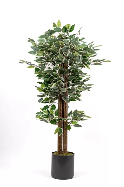 Arbre artificiel Benjamin vert et blanc en pot gris de Cm