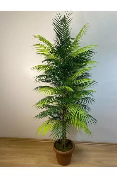 شجرة نخيل أريكا صناعية  سم