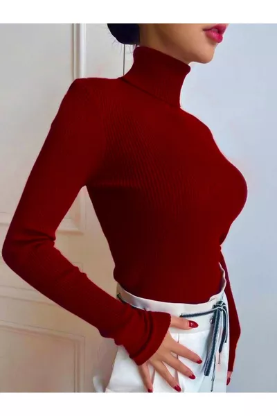 Unisex Blood Red Premium Cotton Ribbed Turtleneck Sweater with Slim Fit and Brushed Finish