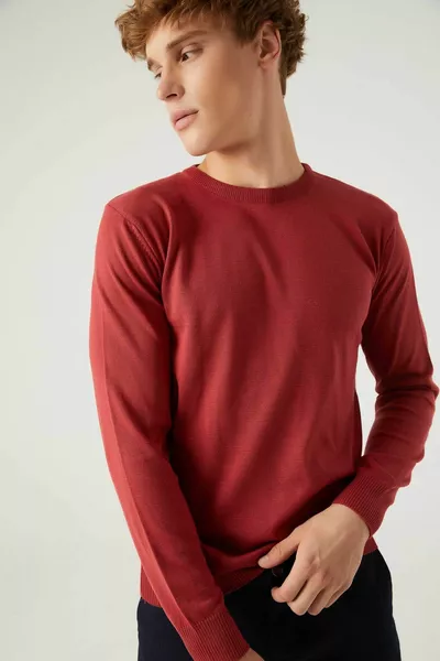 العادية صالح الرمان زهرة مكافحة الريش طاقم الرقبة تريكو سترة