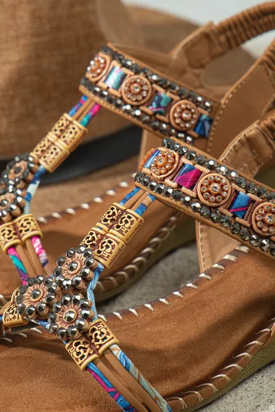 كارولين التشريحية العظام الحجر عارضة الصنادل النسائية