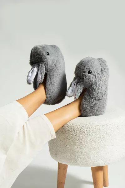 أرنب الرقم امرأة منزل باندوفو لا يجعل قاعدة الضوضاء