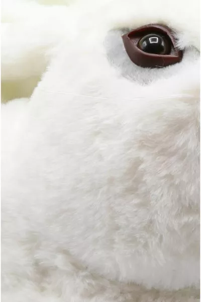  Zulu White Winter Women's Panduf