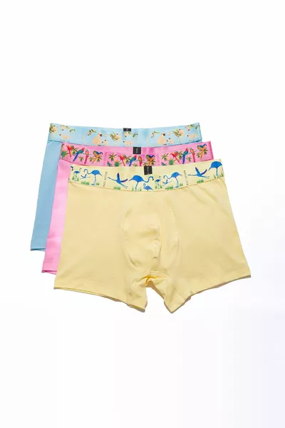 3 قطع بوكسر كومفورت فليكس للرجال - إكزوتيك