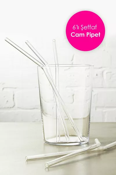Clear 6-Piece Glass Bevel Pipette | Glass Pipette