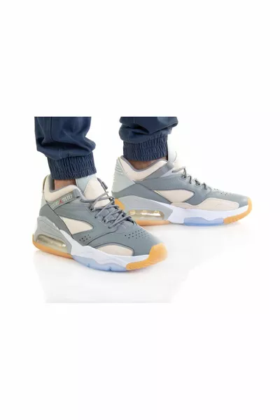 NIKE Jordan and Air Max Point Lane PL Men's Shoes