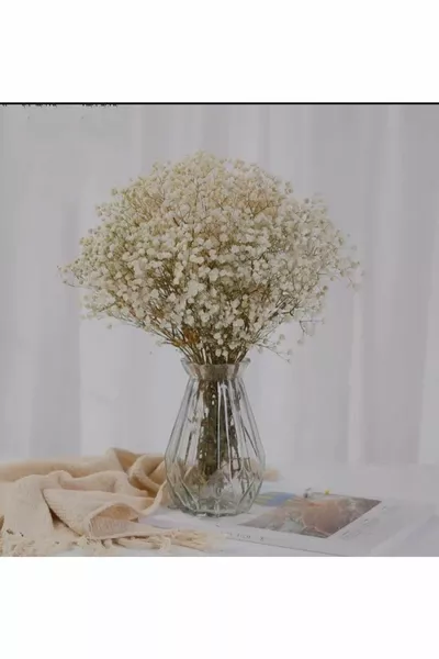 Шокированная белая кремовая гирлянда гипсовых цветов, высокая качество, не осыпающаяся, цветок для вазы