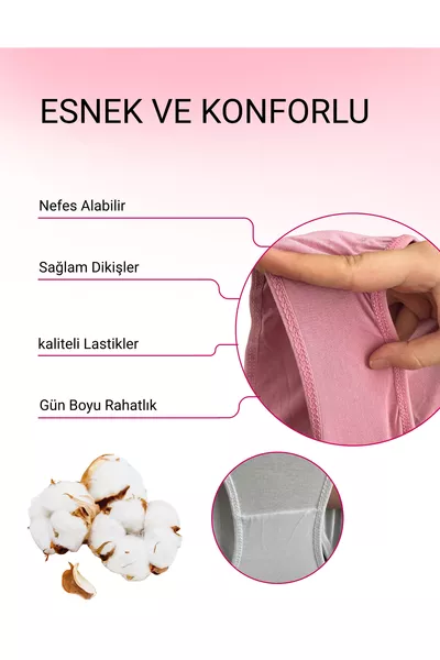 سروال داخلي نسائي قطن هبستر، رمادي، وردي باهت، أزرق داكن، بودرة، عبوة من 5