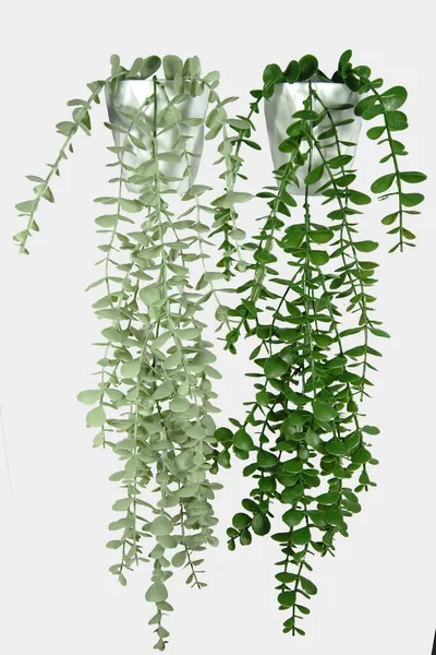 Изкуствено цвете с диамантена саксия, комплект с една клонка пастел и зелена евкалиптова висулка