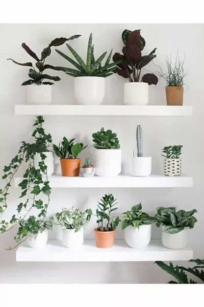 Бяла стена рафт  см, стенно декориране, библиотека