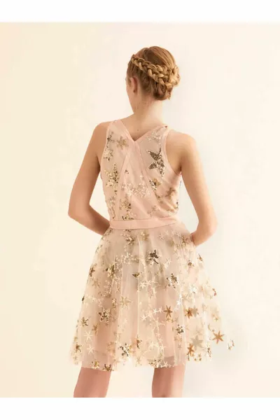 نجمة مطرزة مساء اللباس اللون القياسي 