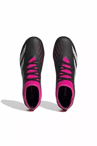 Predator Accuracy.3 std