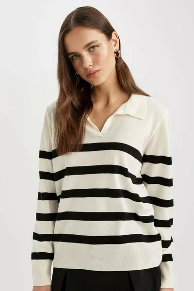 Пуловер с поло яка и райета, редовно прилягане WN