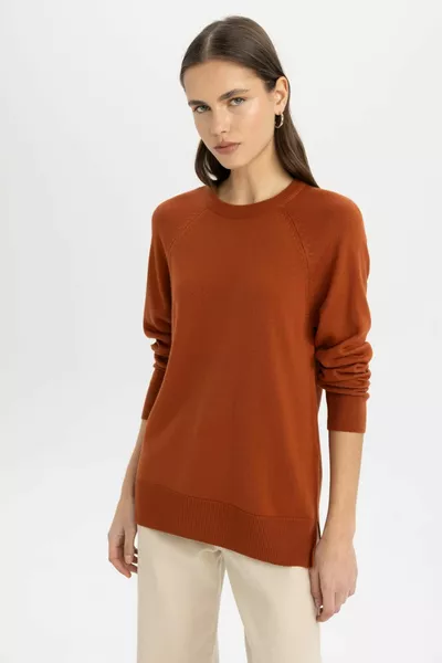 كنزة تريكو أساسية سادة بياقة دائرية وأكمام رجلان بنسيج ناعم وقصة عادية wn