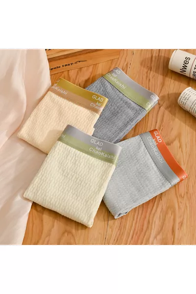 4-Pack Men's Boxer Glad And Comfortable Breathable Cotton Boxer That Doesn't Cause Sweating