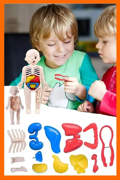 Анатомия на човешкото тяло Орган Пъзел Анатомия Сглобяем Образователна играчка Игра См