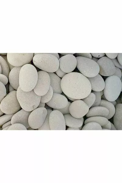 Pittura su Pietra Taglia Media Confezione da 9 Pezzi Gioco Educativo per Bambini sopra i 9 Anni, per Ragazzi e Ragazze