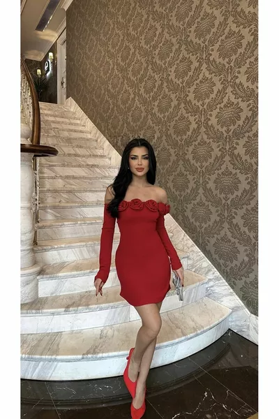 МИНИ-ПЛАТЬЕ LUCAS С КРАСНЫМИ РОЗАМИ