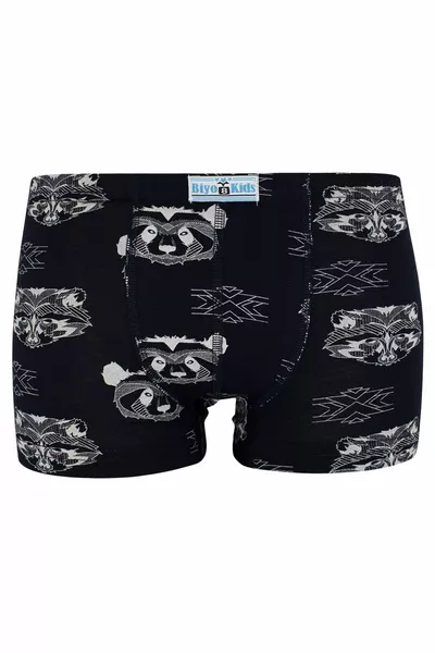 Boys' Mixed Color Printed Boxer 5-Pack