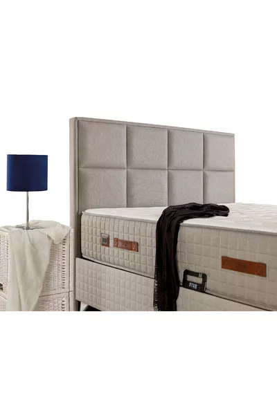 عنوان الخط الفضي