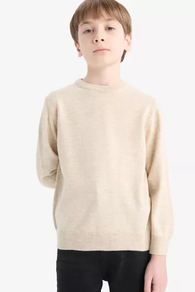 Boys' Ecru Crew Neck Basic Plain Knit Sweater wn