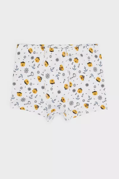 Boys' Patterned 3-Pack Boxer Shorts SP