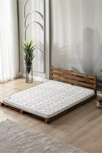 مرتبة طبيعية كاملة أورثوبيدية