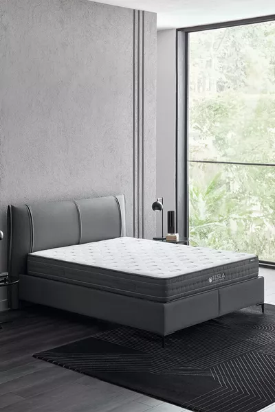 Tesla Sleep Power Pocket Spring Series Mattress