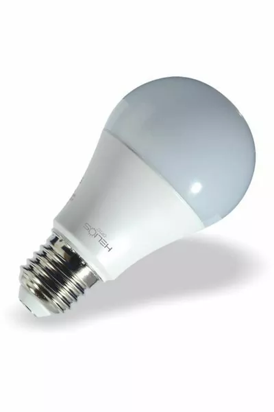 9W  LED Globe Bulb White Light