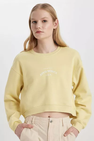 Boxy Fit Bisiklet Yaka Baskılı Kalın Sweatshirt CW