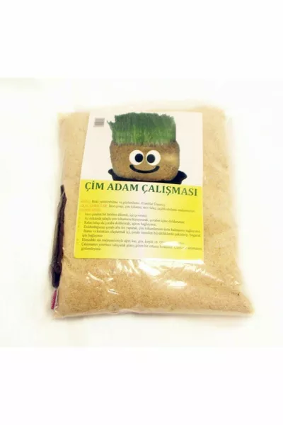  штук, Травяной человечек, Обучающий набор для создания травяного человечка, Эксперимент по проращиванию