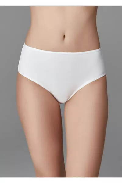 Mixed 5-Pack High-Waist Women's Briefs