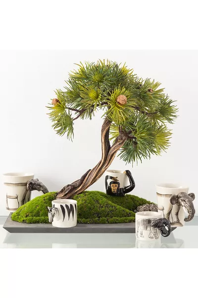 Слон Уайлд Фиан 