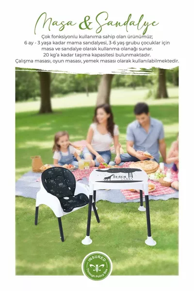 مكتب العمل، كرسي الطعام، طاولة، كرسي